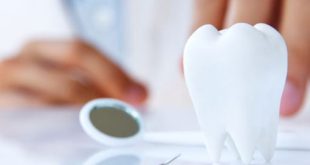 Optimizing Your Dental Health with the Right Dental Insurance Agency