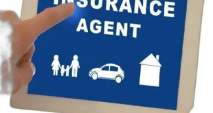 The Power of Professional Insurance Agents