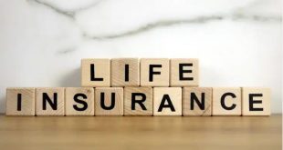 Safeguarding Your Future: The Power of Principal Life Insurance