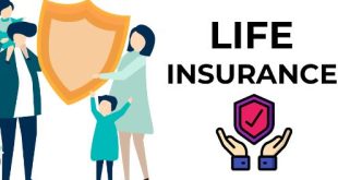 The Importance of Understanding Why is called life insurance?