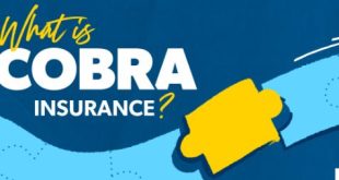 5 Reasons Cobra Life Insurance is Essential for Your Financial Security