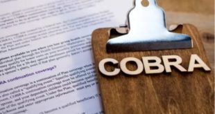 Unlocking the Best Cobra Life Insurance Quotes: Your Comprehensive Guide